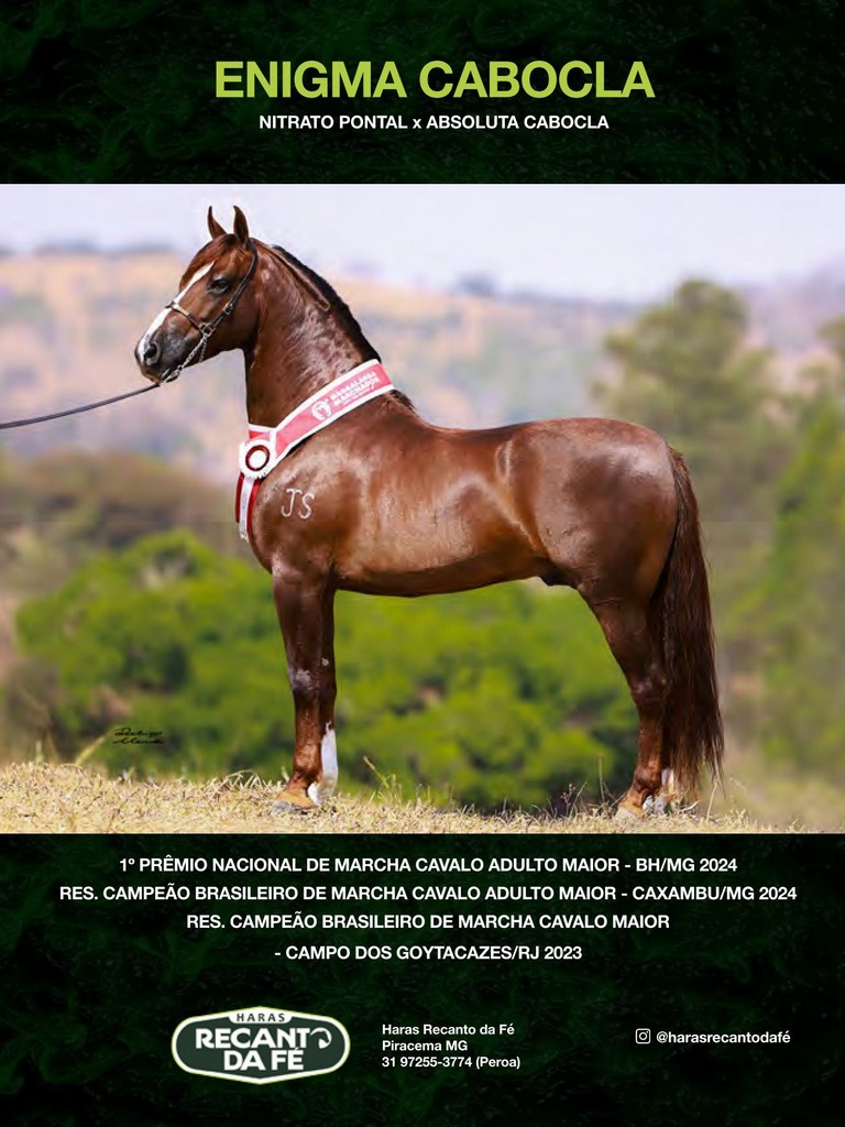 Página 103 Página 103