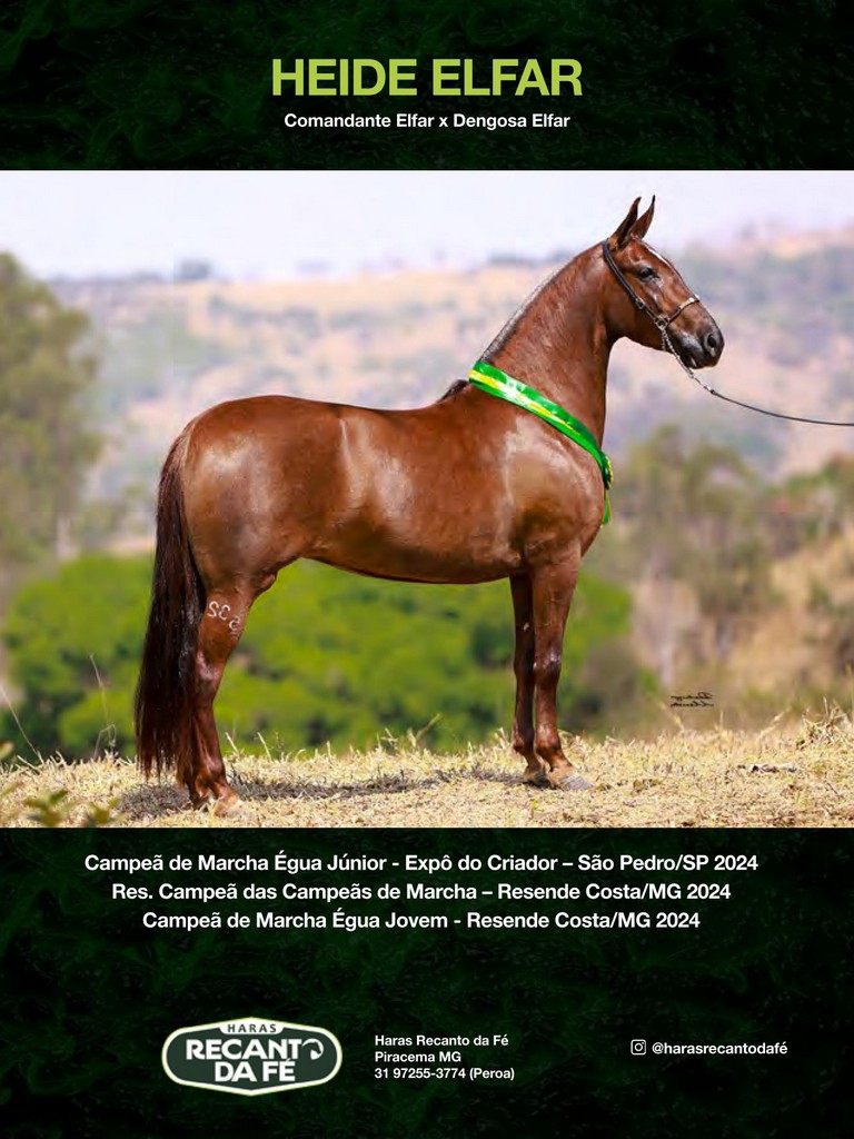 Página 104 Página 104