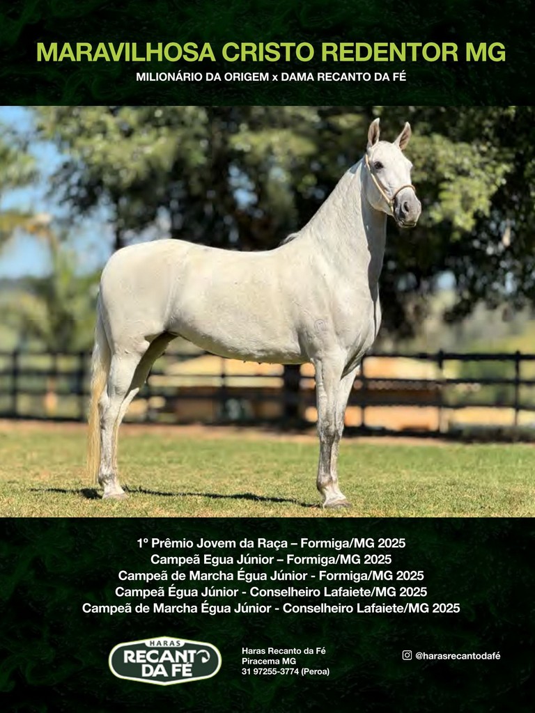 Página 105 Página 105