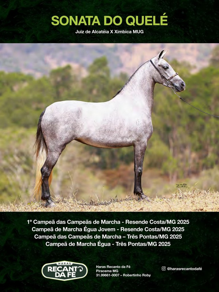 Página 106 Página 106