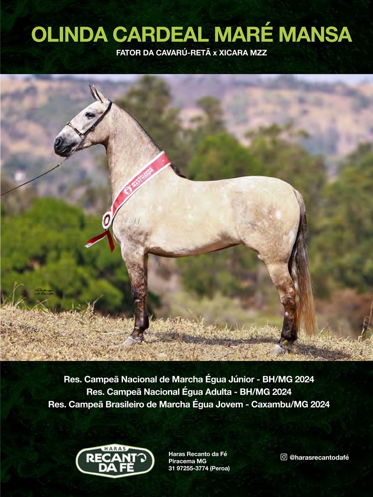 Página 107 Página 107