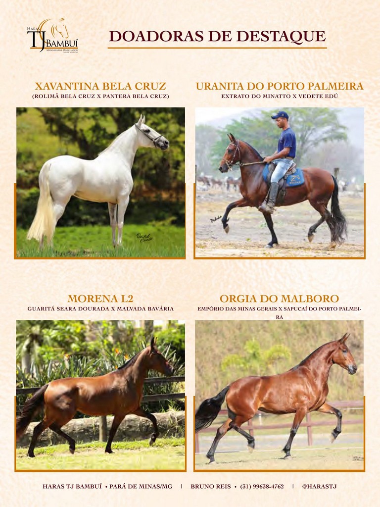 Página 11 Página 11