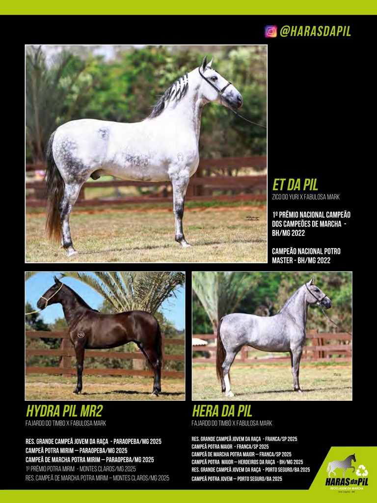 Página 111 Página 111