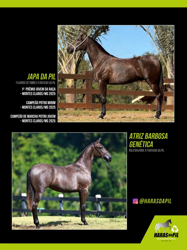 Página 113 Página 113