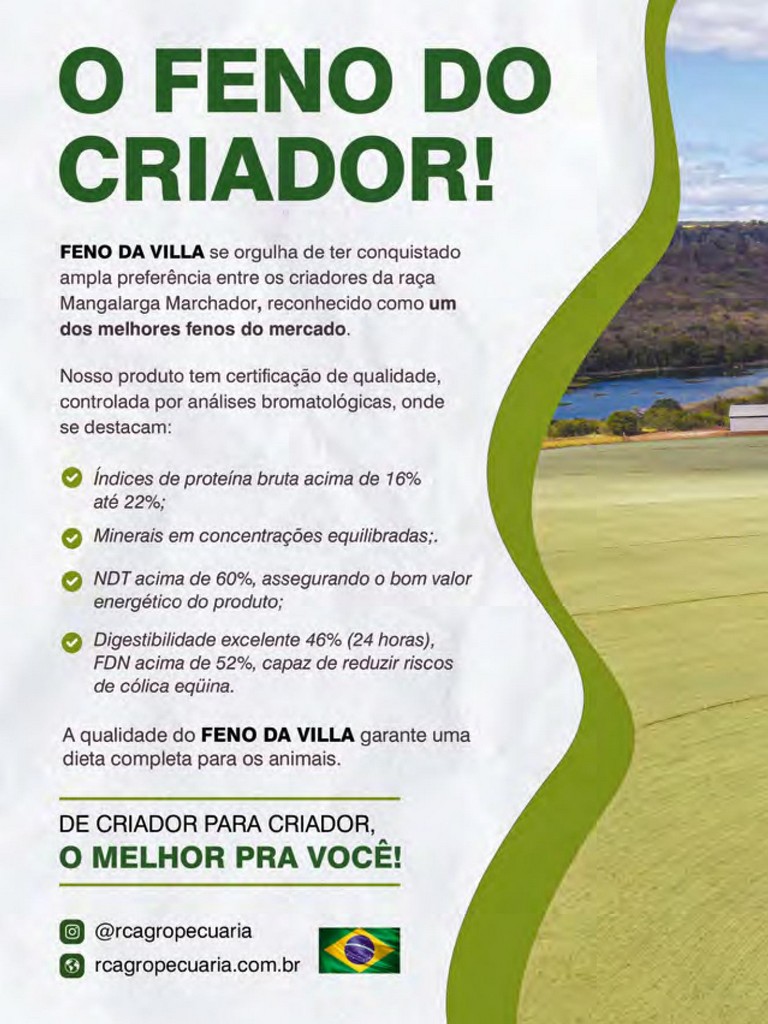 Página 116 Página 116