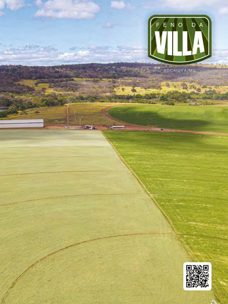 Página 117 Página 117