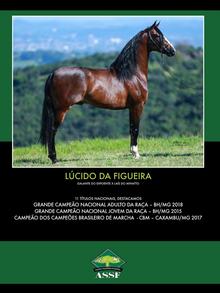 Página 118 Página 118