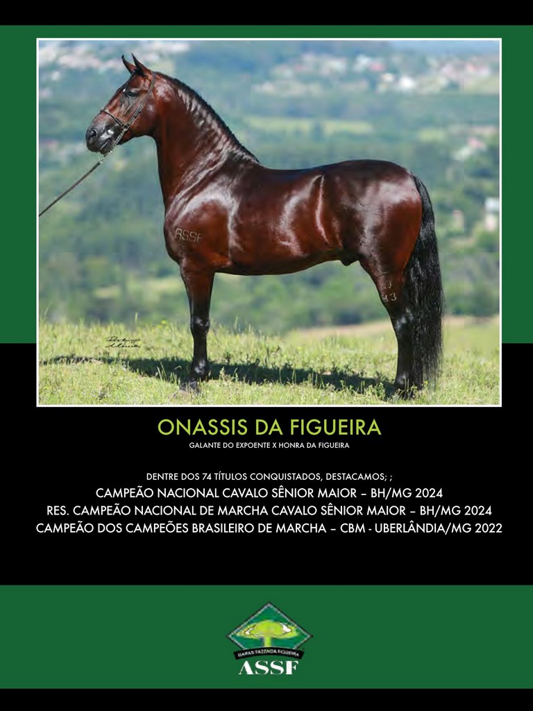 Página 119 Página 119