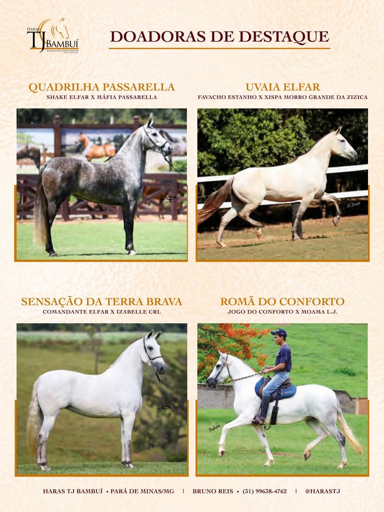 Página 12 Página 12