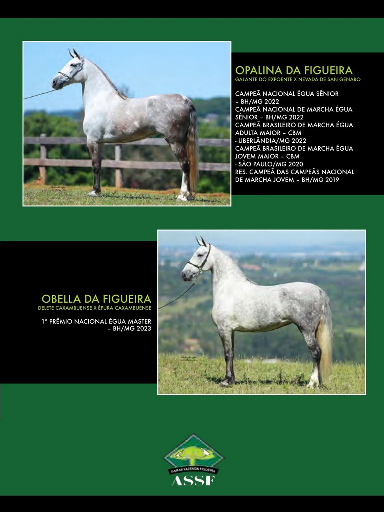 Página 121 Página 121