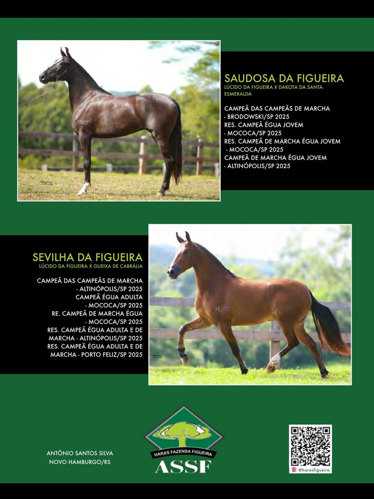 Página 122 Página 122