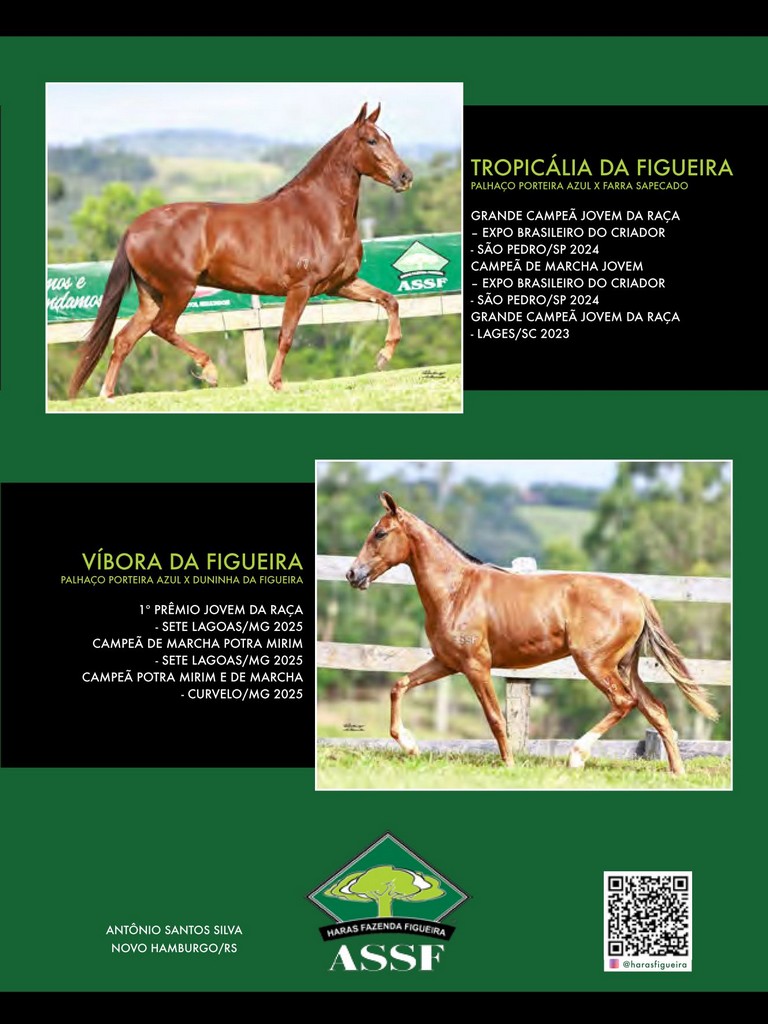 Página 123 Página 123