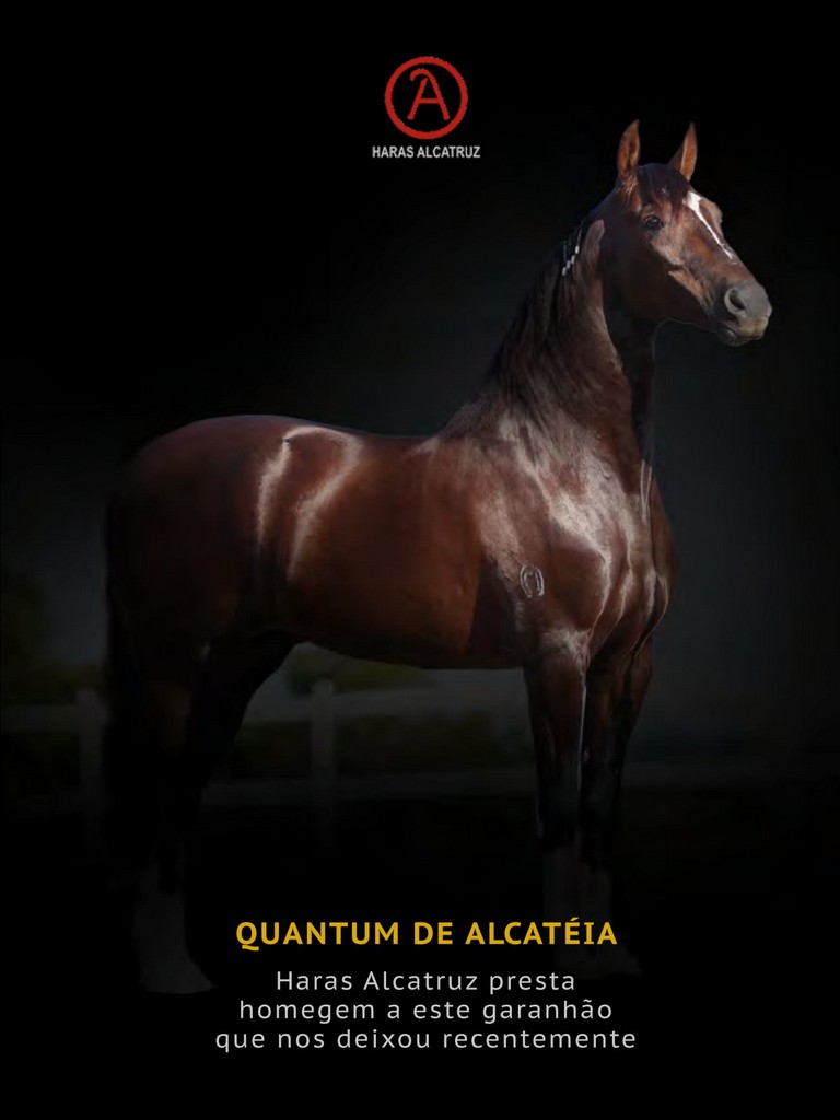 Página 125 Página 125