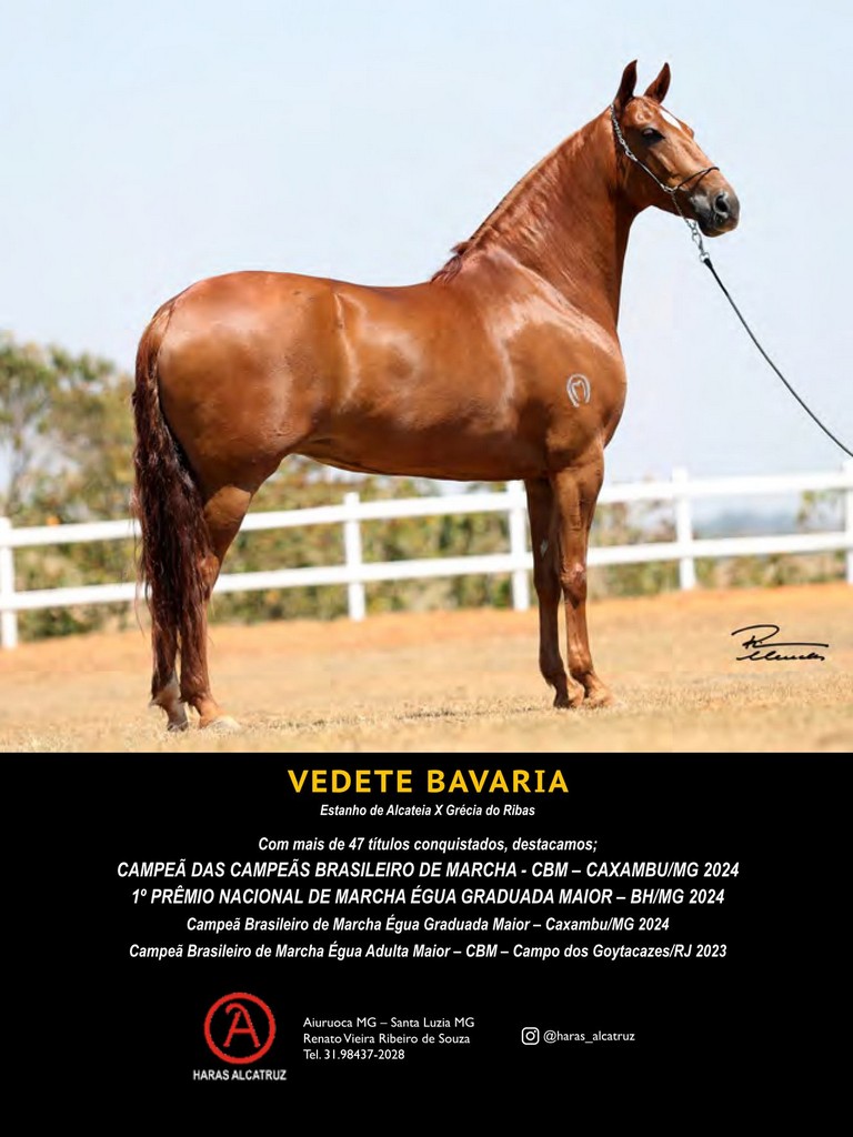 Página 126 Página 126