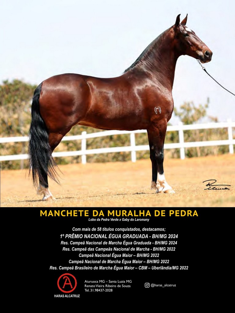 Página 127 Página 127