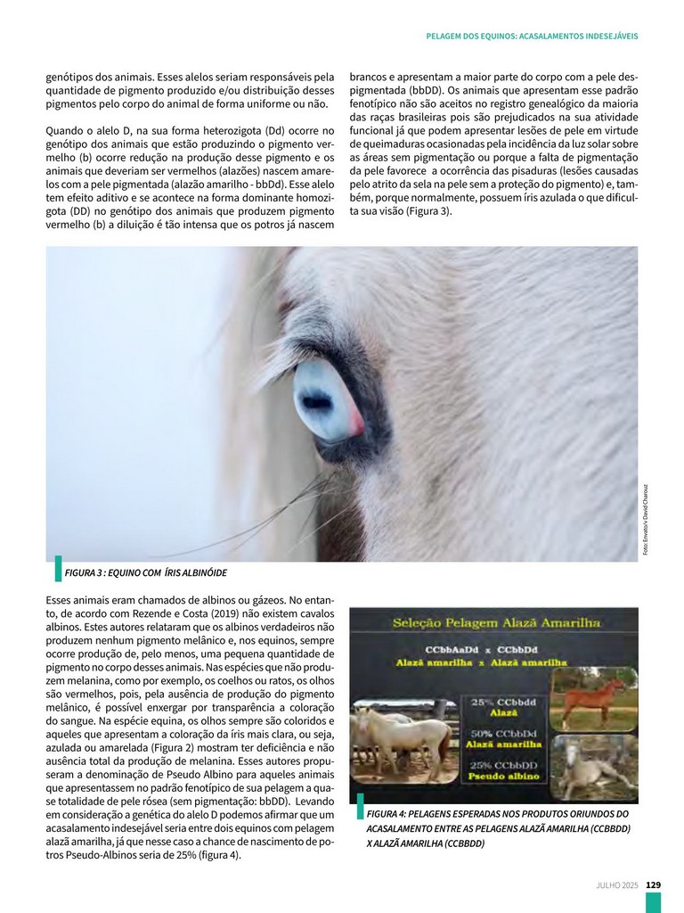 Página 129 Página 129