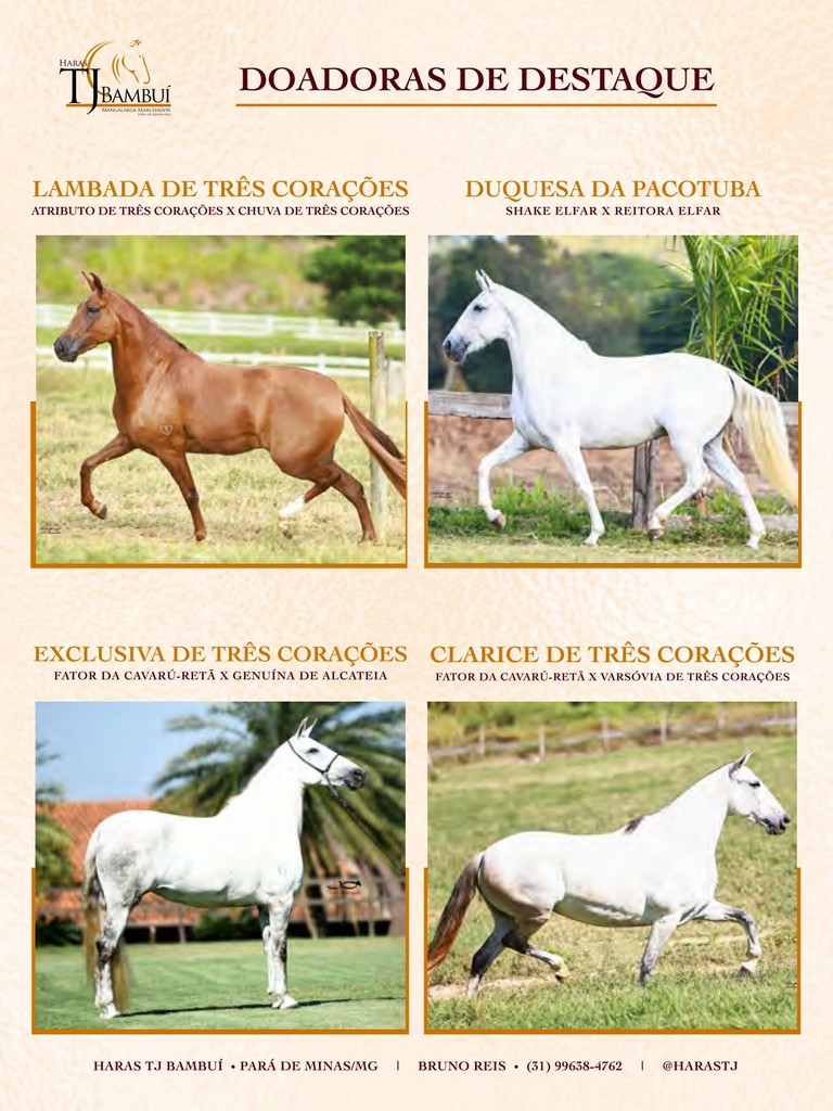 Página 13 Página 13