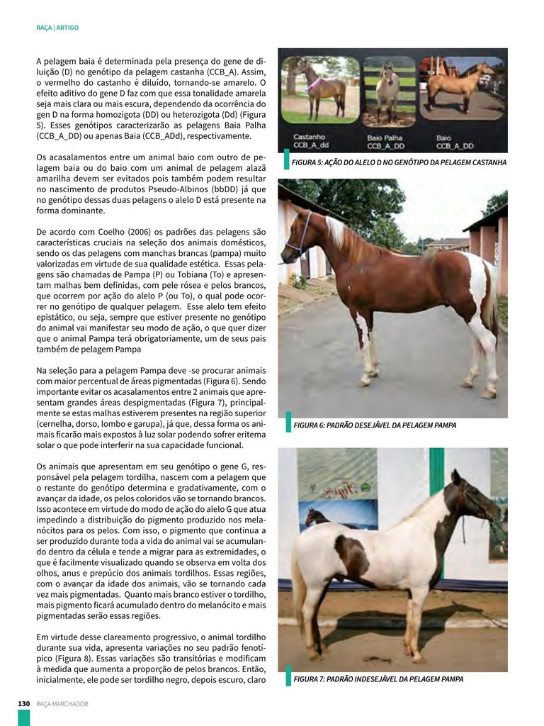 Página 130 Página 130