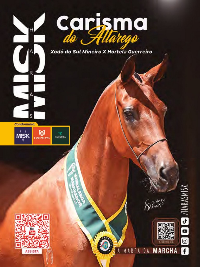 Página 133 Página 133