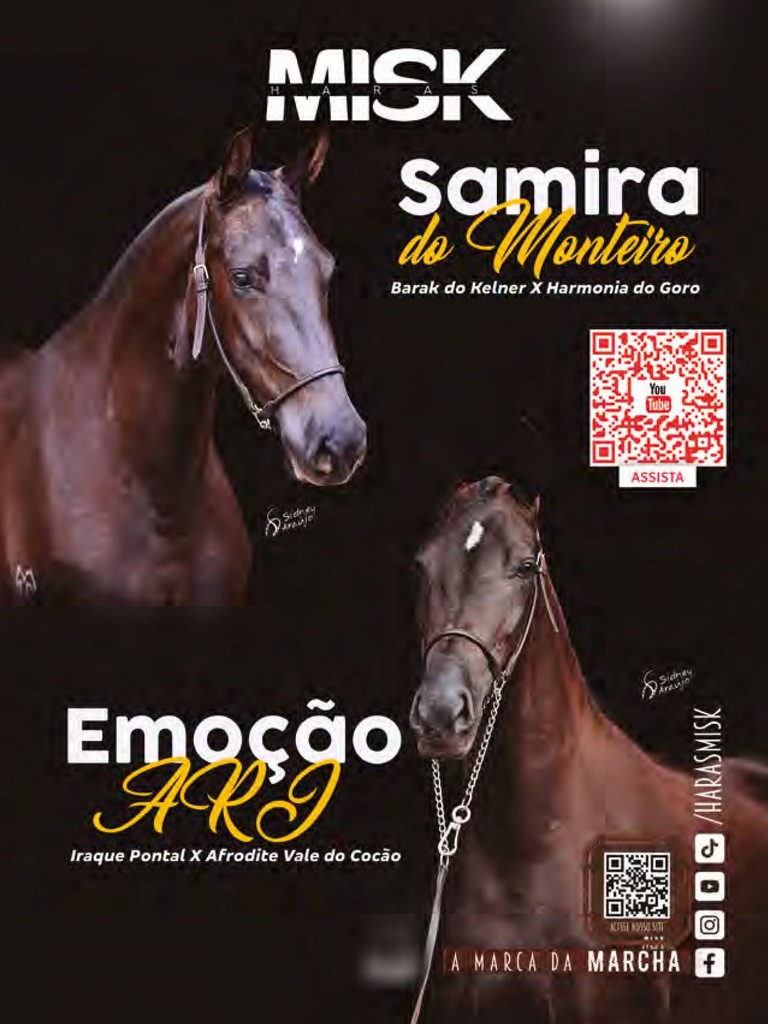 Página 137 Página 137