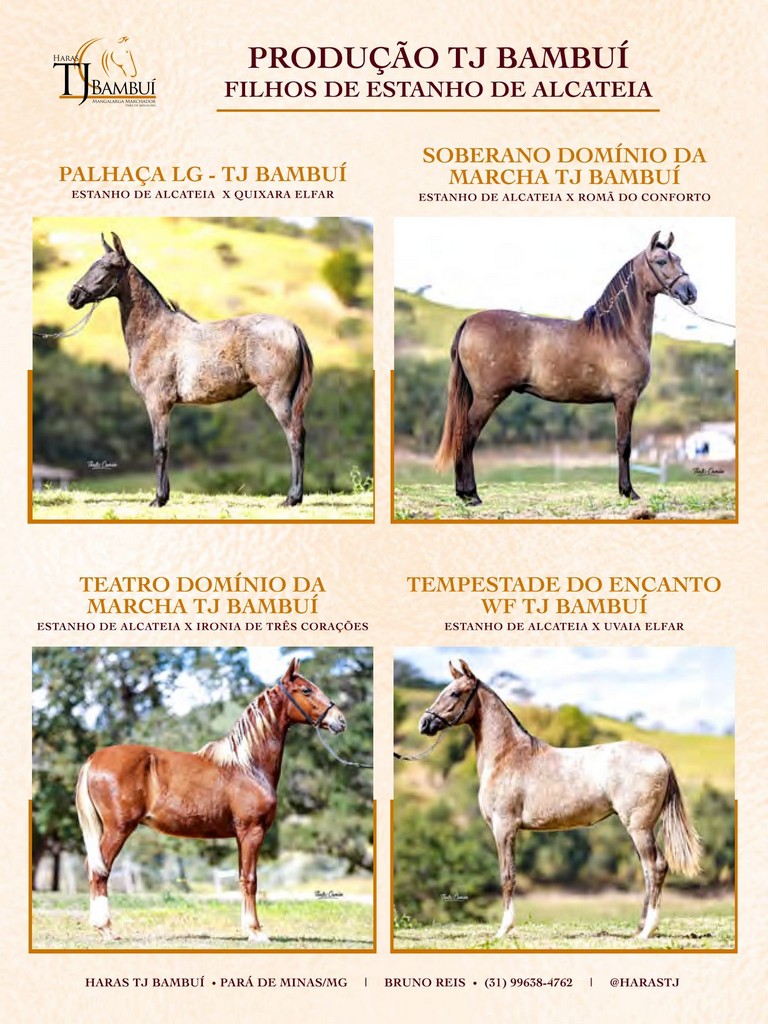 Página 14 Página 14