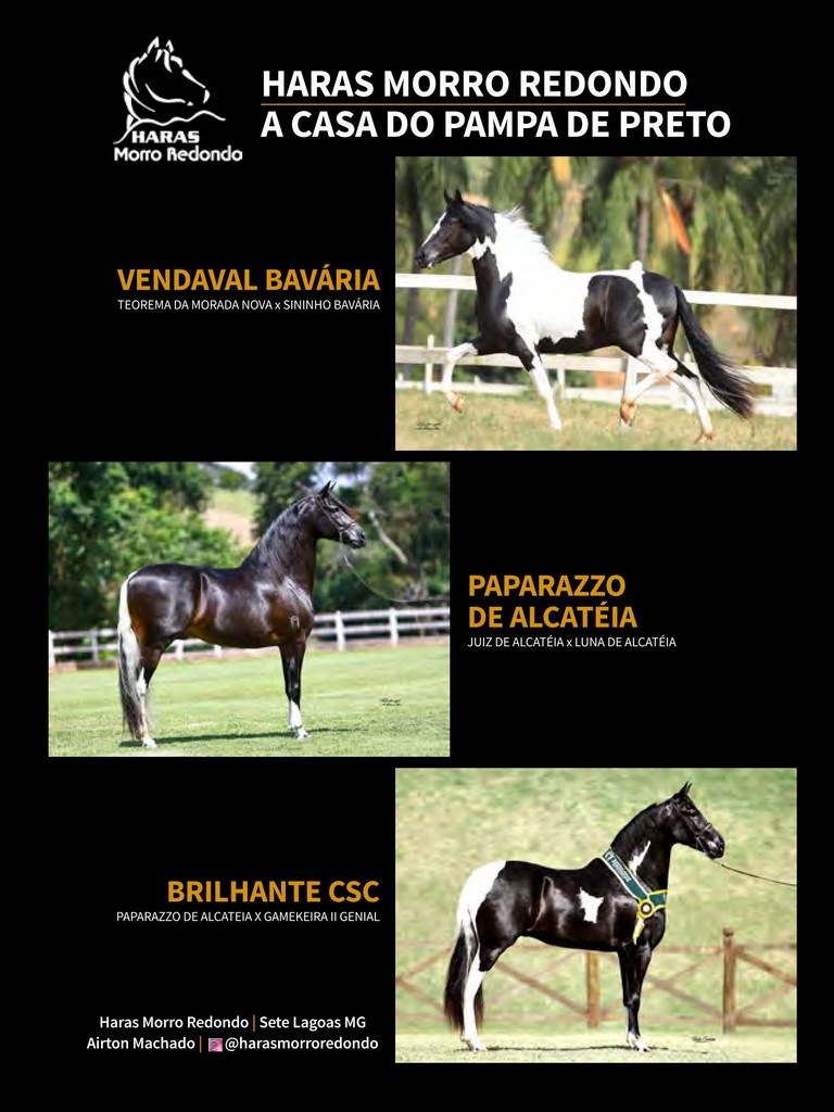 Página 141 Página 141