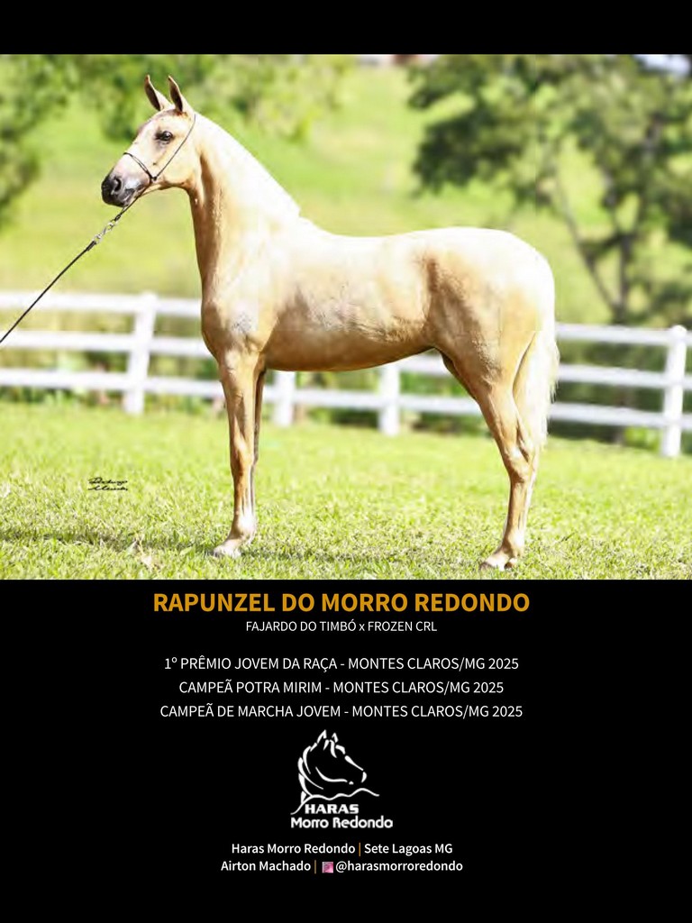 Página 142 Página 142