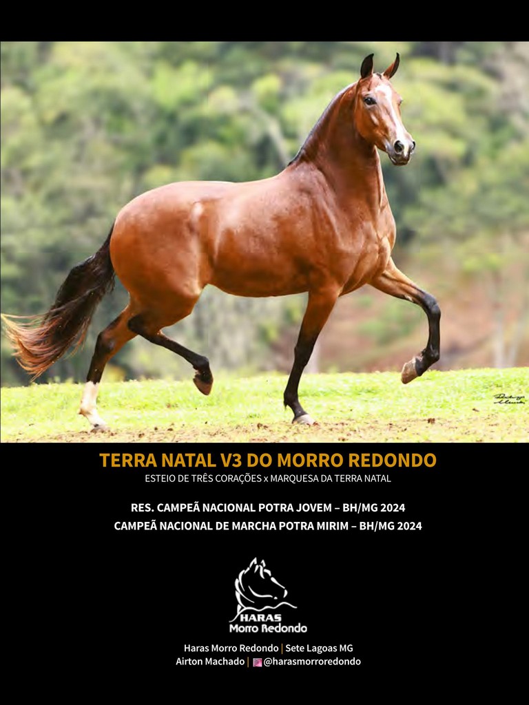 Página 143 Página 143