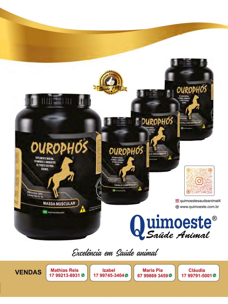 Página 145 Página 145