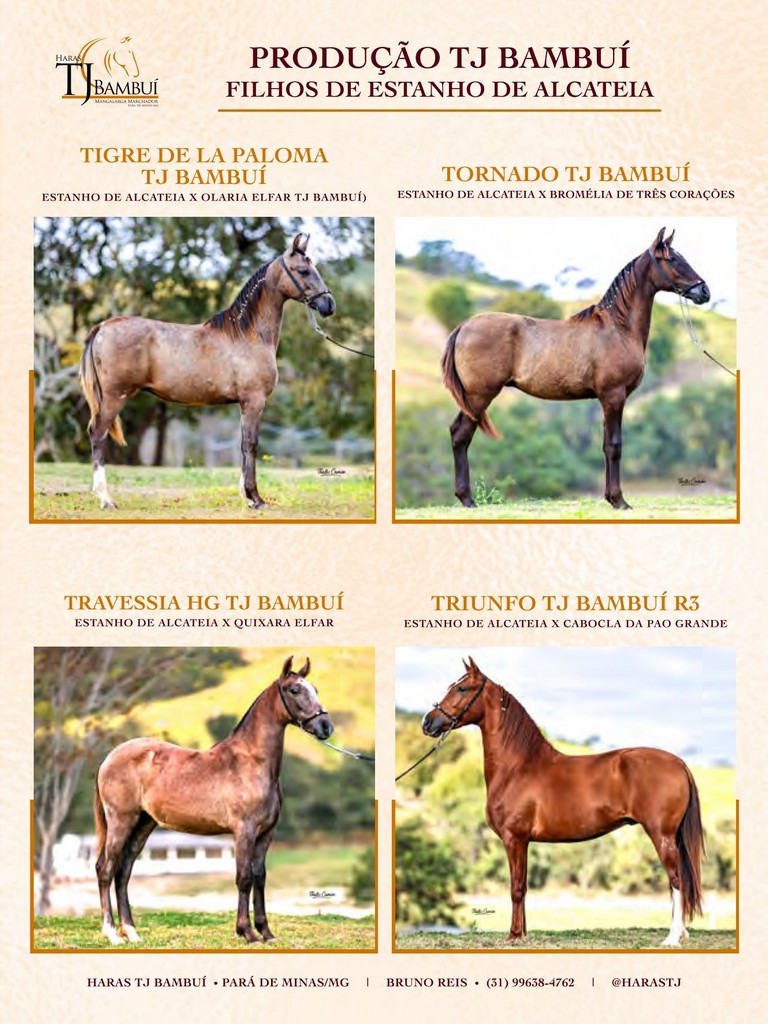 Página 15 Página 15