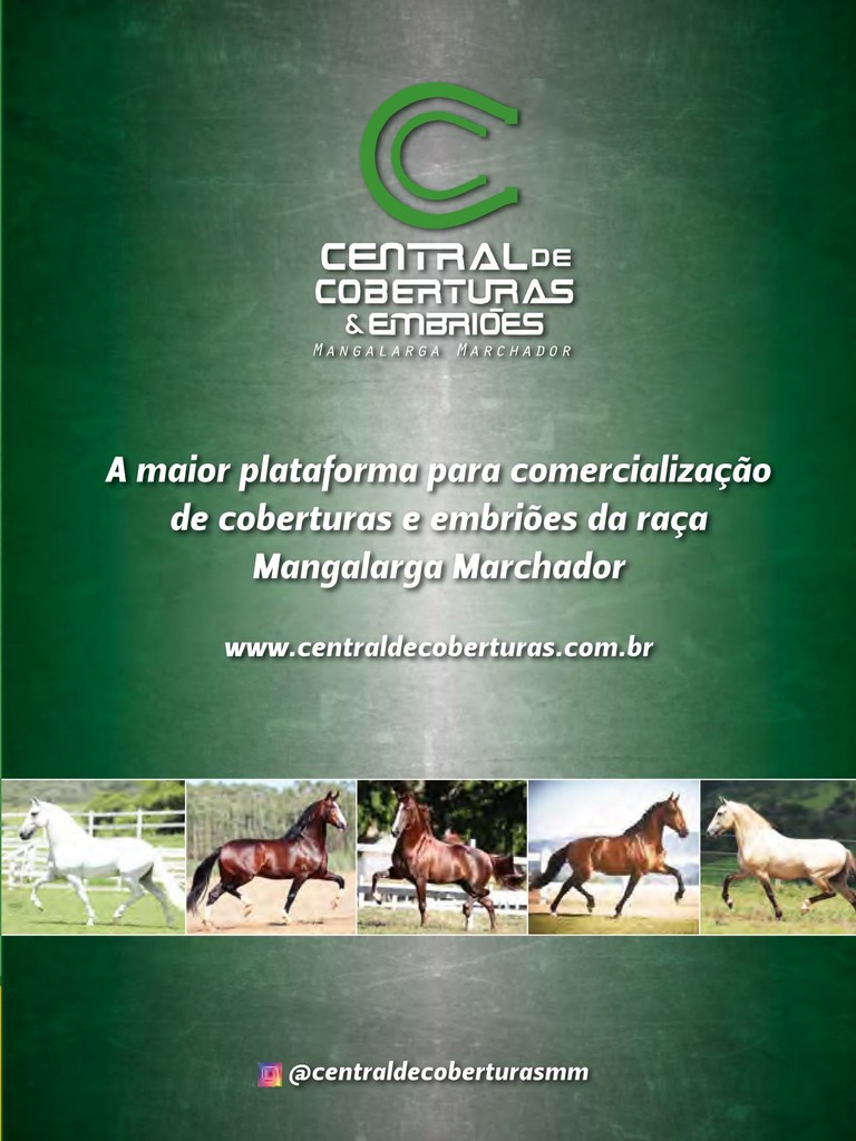 Página 151 Página 151