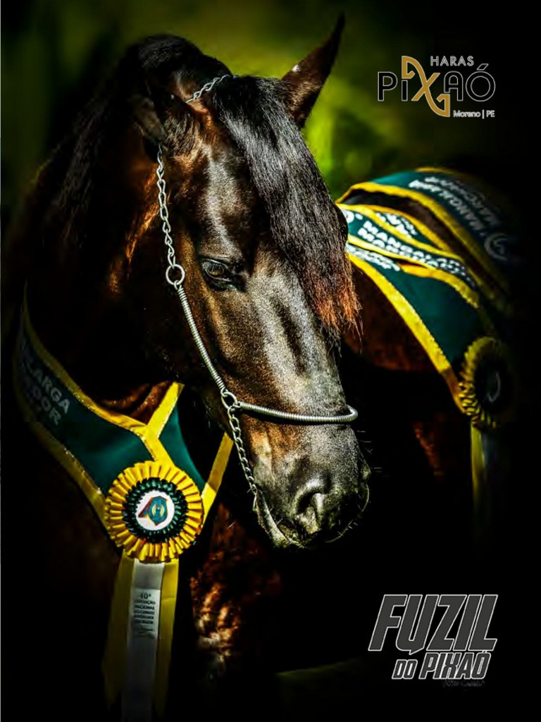 Página 153 Página 153