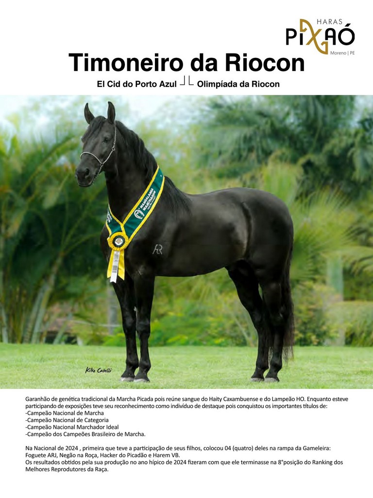 Página 154 Página 154