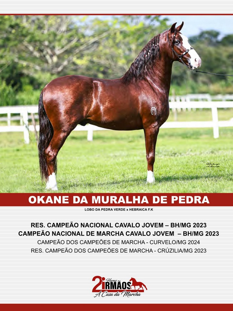 Página 157 Página 157