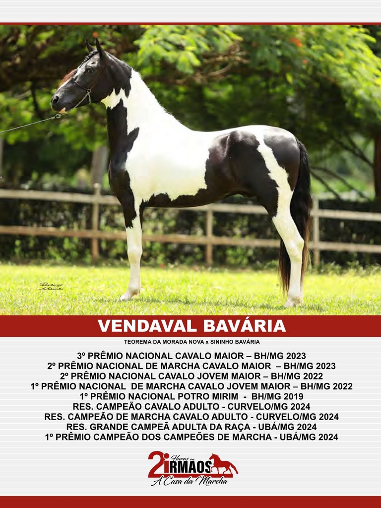 Página 158 Página 158