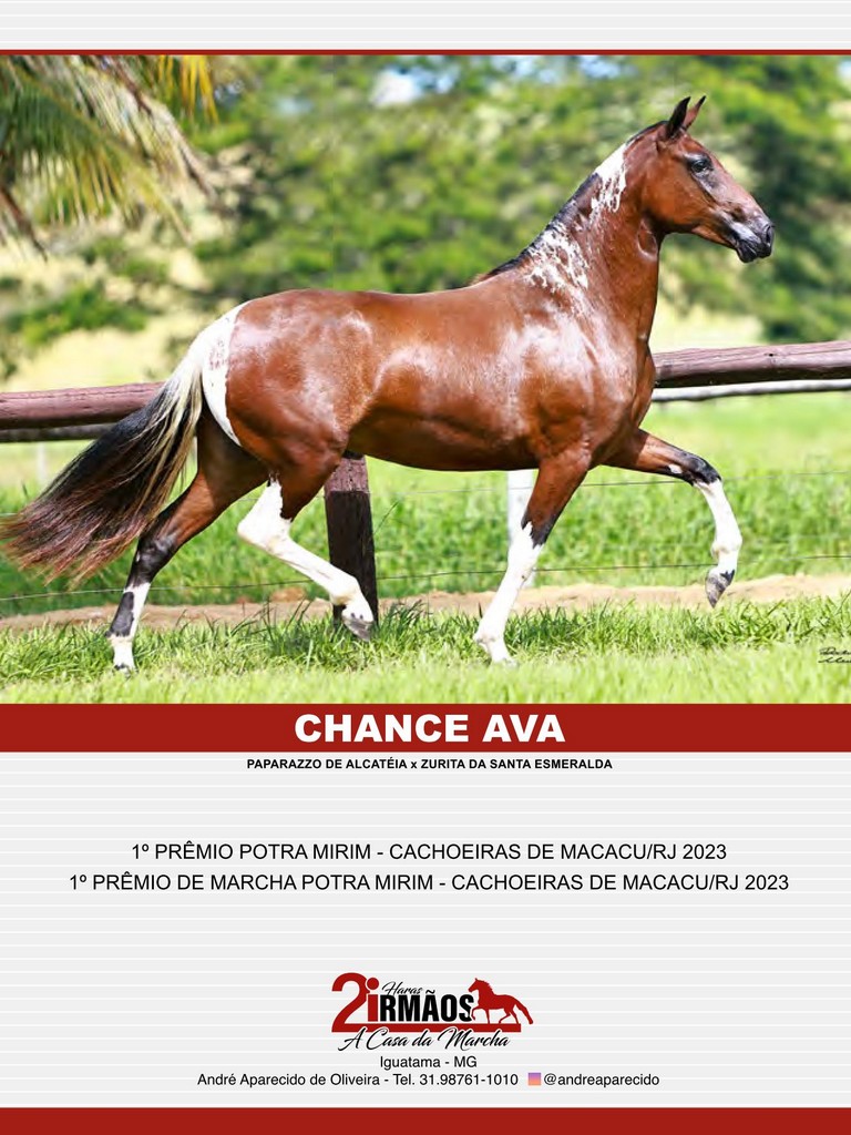 Página 159 Página 159