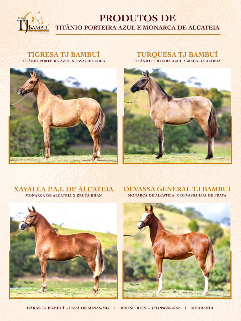 Página 16 Página 16