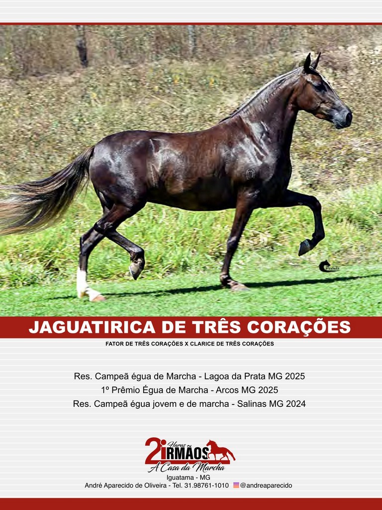 Página 160 Página 160