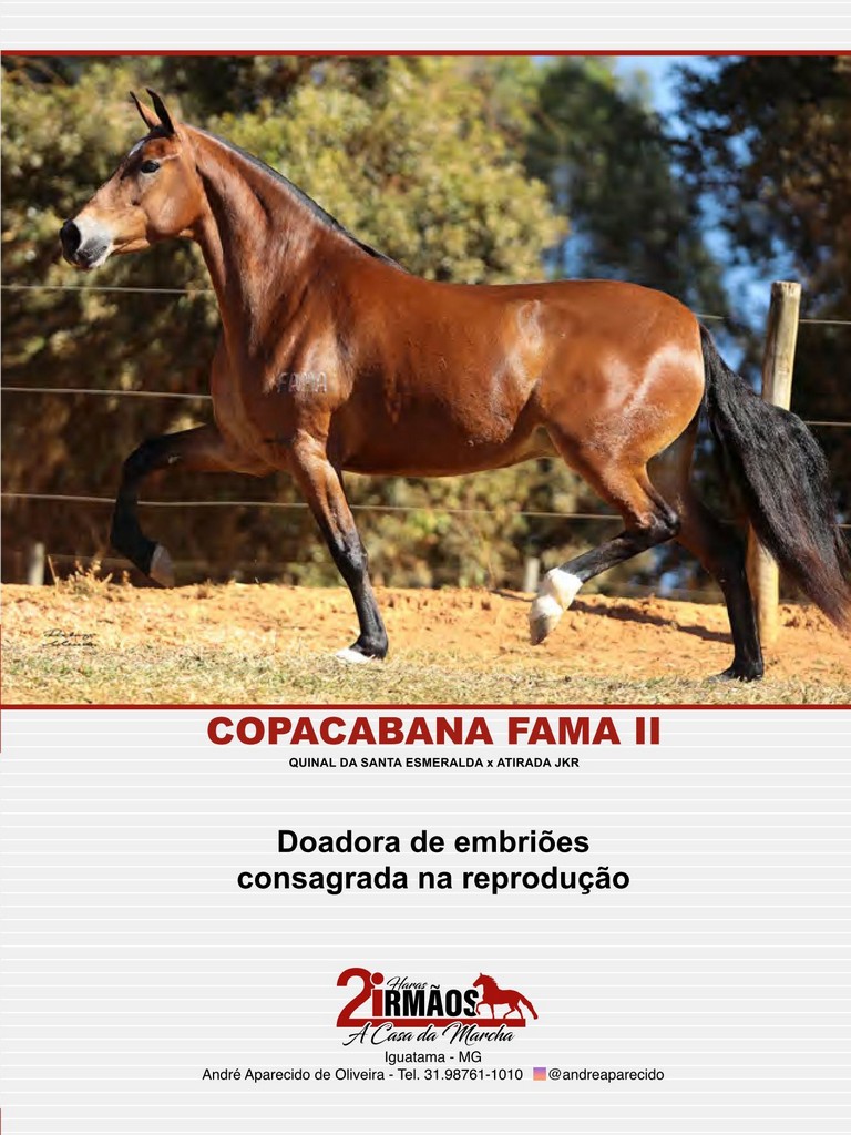 Página 161 Página 161