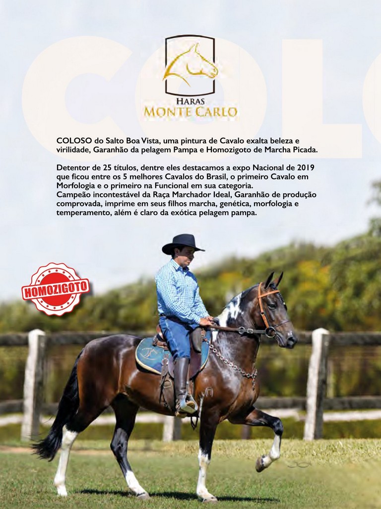 Página 162 Página 162