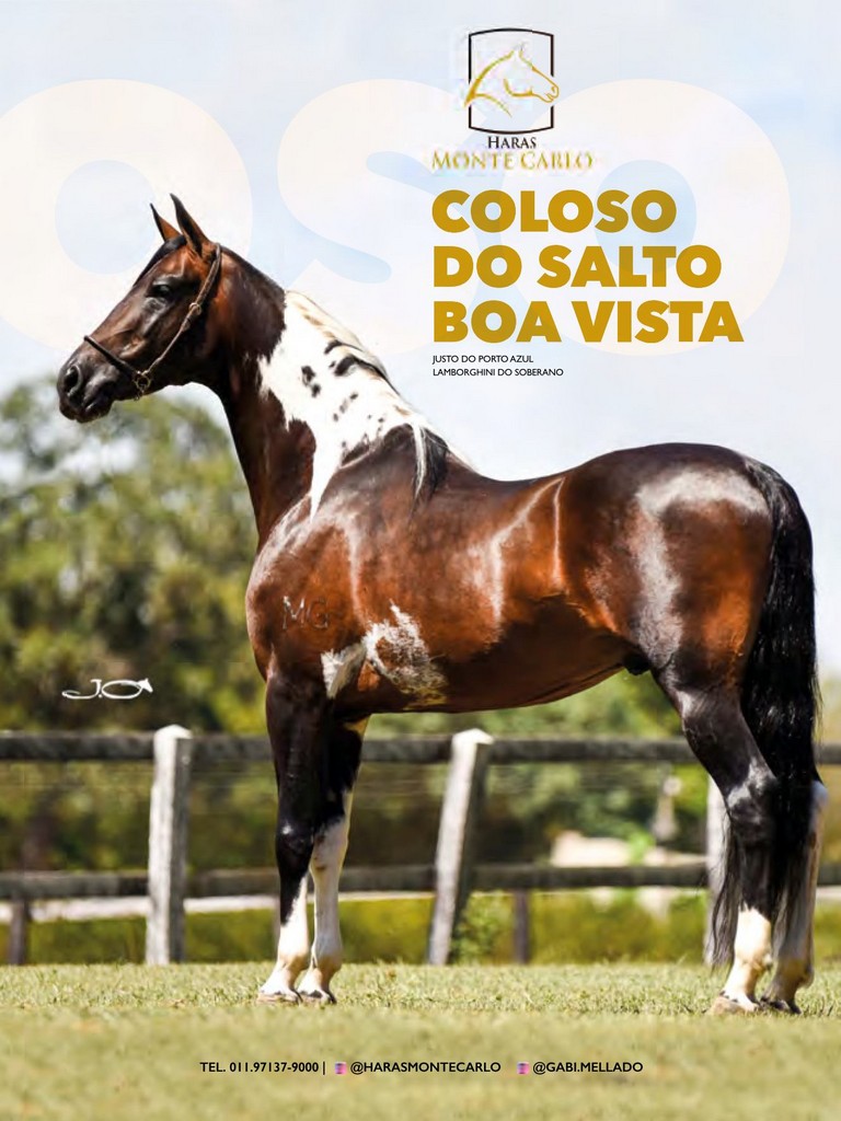 Página 163 Página 163