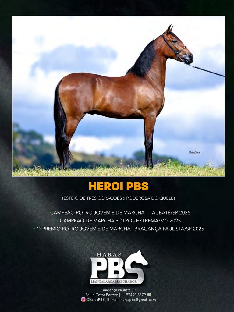 Página 169 Página 169