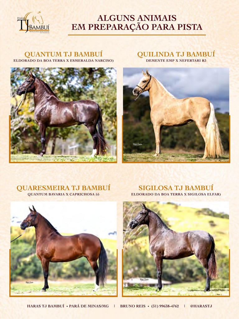 Página 17 Página 17