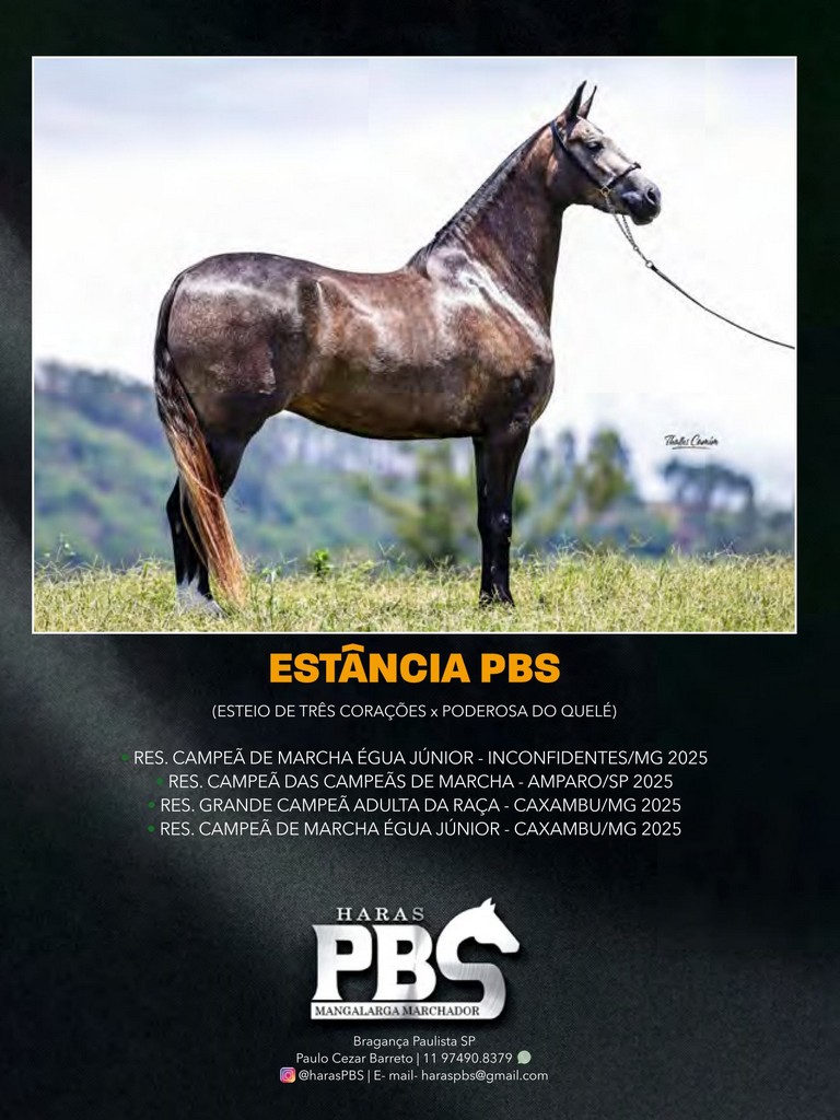 Página 170 Página 170