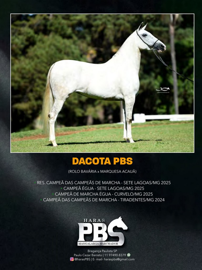 Página 171 Página 171