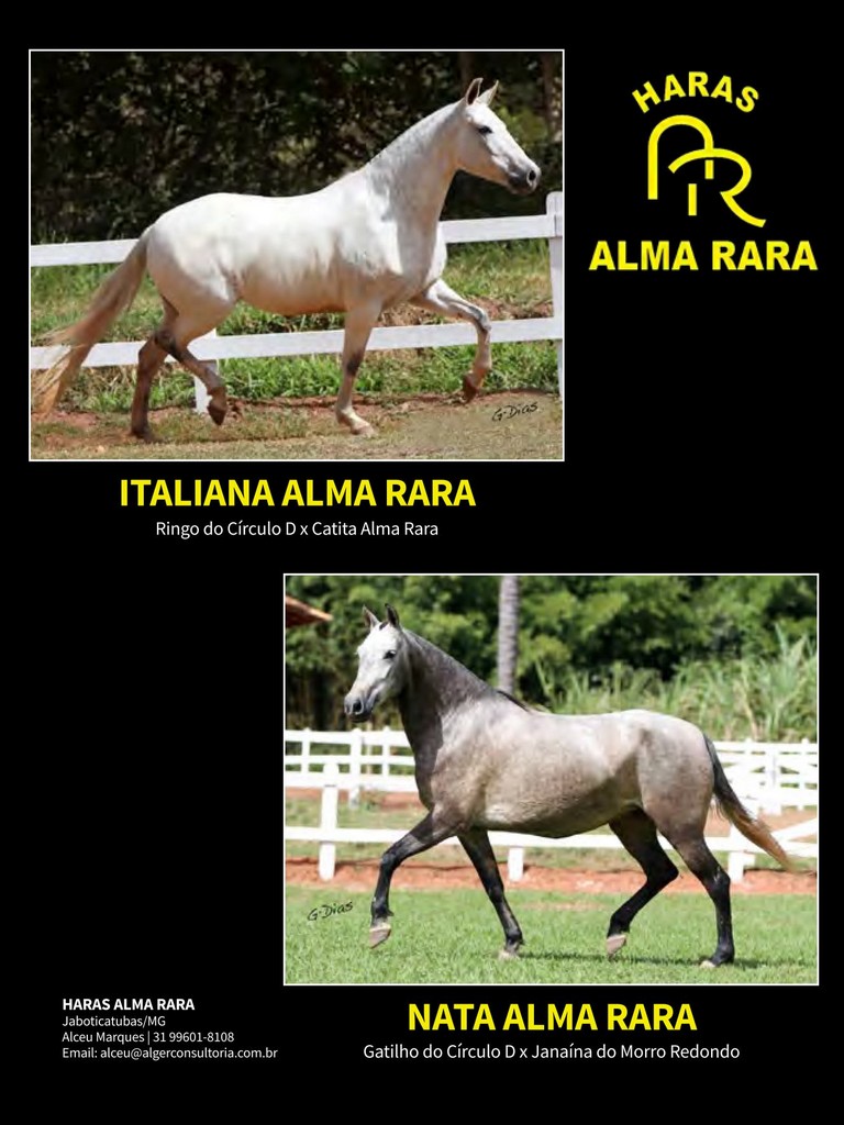 Página 173 Página 173