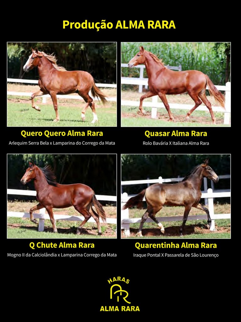 Página 174 Página 174