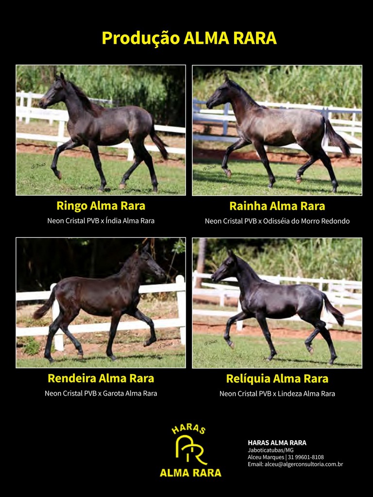 Página 175 Página 175