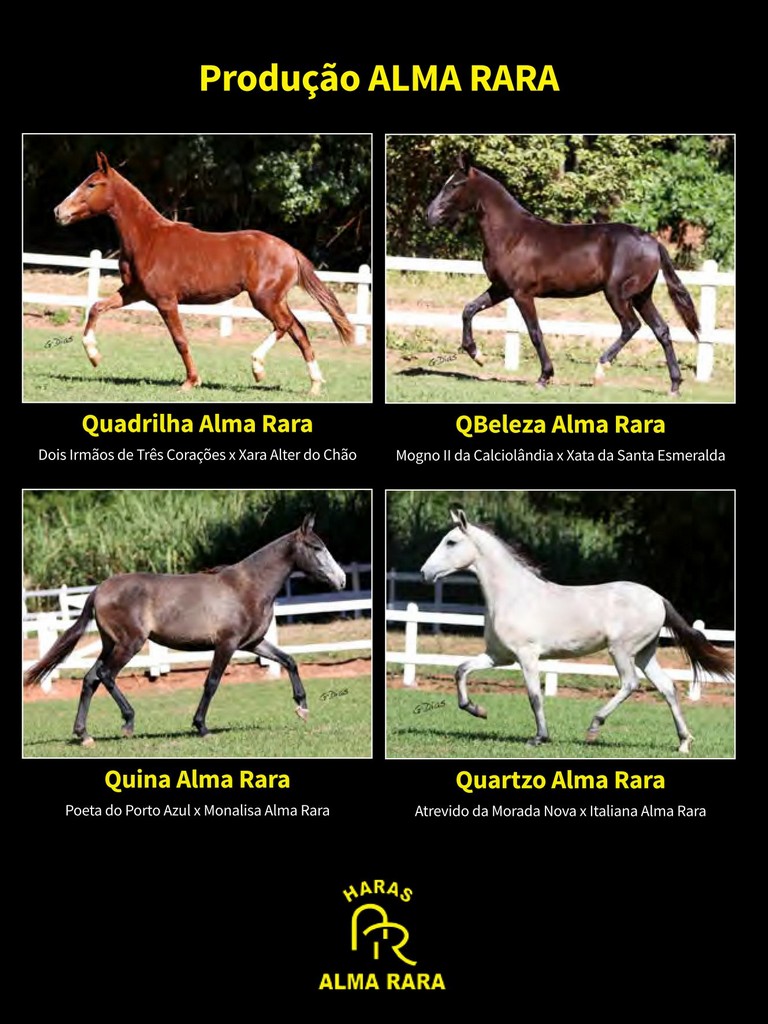 Página 176 Página 176