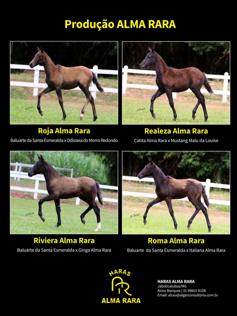 Página 177 Página 177